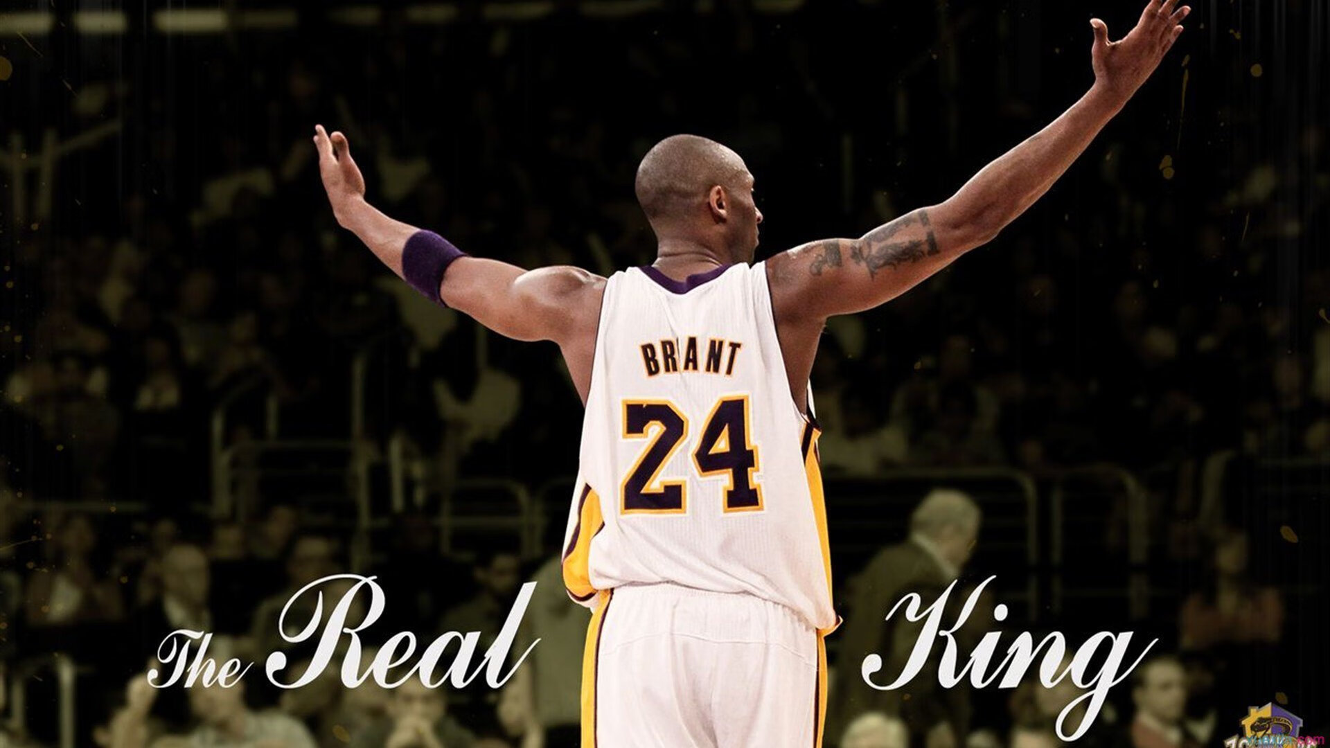 大型熊猫徒步游，亲近自然的环保运动，熊猫徒步西藏